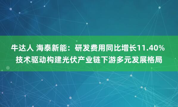牛达人 海泰新能：研发费用同比增长11.40% 技术驱动构建光伏产业链下游多元发展格局